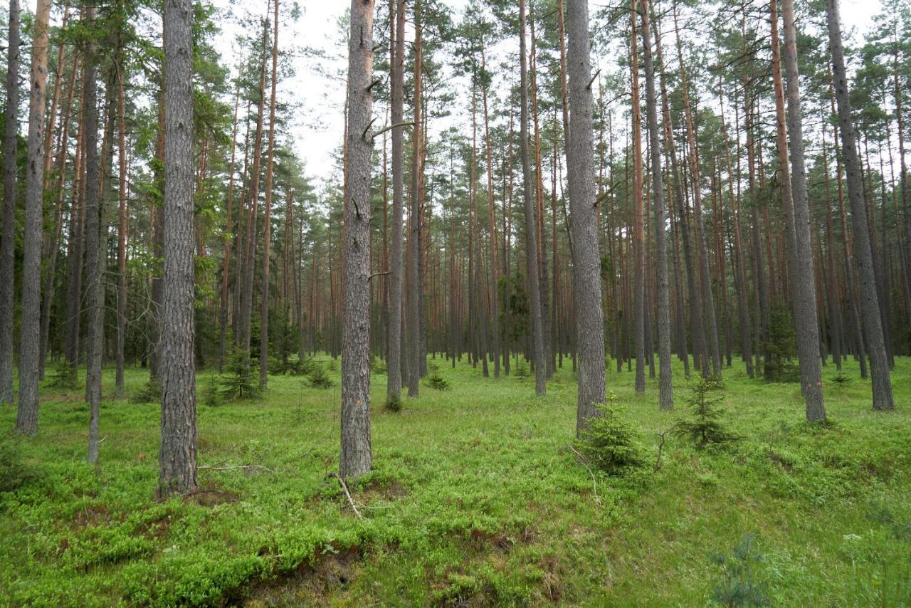 Фермерський будинок Dobra Jaskowo